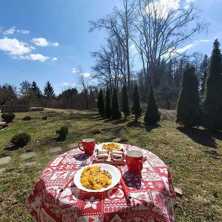 Apartment Matija Zlatibor Dış mekan fotoğraf